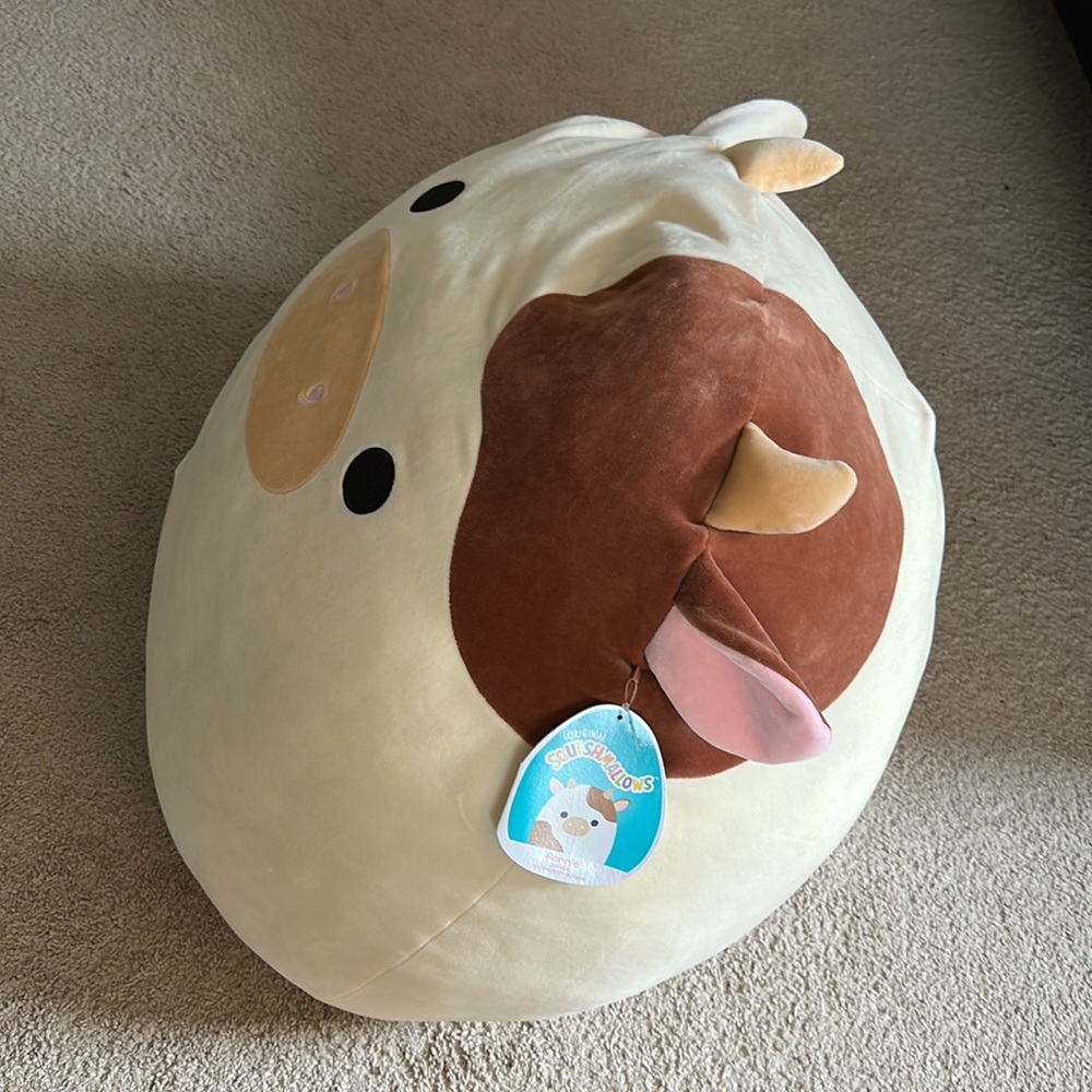 He is a little too big for me to have anymore. I am moving and takes space. :( - Picture 6 of 6